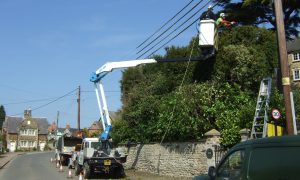 Mobile platform to reach top of the tree