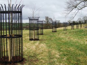 Tree Planting with metal tree guards